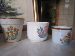 6 Mini cactus decorative pots + 1 pot!