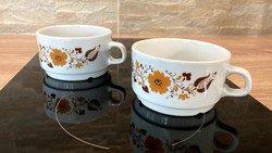 Alföldi 2 db vitrin Panni teás csésze barna virágos bögre