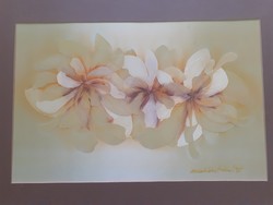 Izolda Macskássy: white-yellow flowers, original marked silk-image collage from 1969