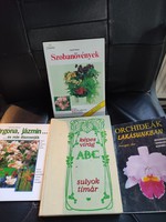 Szobanövények-Orchideák-Virág ABC-Díszcsejék.