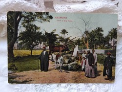Antik képeslap/üdvözlőlap Egyiptom, Alexandria Sidy Gaber, helyiek hagyományos viseletben