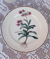 Gyönyörű Villeroy& Boch ? Botanica 24 cm-es  tányér porcelán Gyűjtői darab nosztalgia