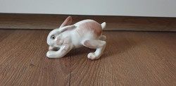 Kőbányai Ugró Nyúl Rita
