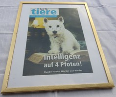 Learn to read dog poster in copper frame - large size intelligent auf 4 pfoten! Zeit für tiere