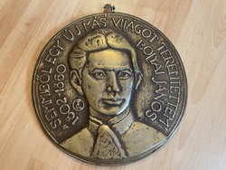 Tőrös Gábor Bolyai János réz bronz plakett dombormű portré