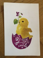 Aranyos Húsvéti képeslap - Demjén Zsuzsa rajz