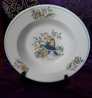 Tukán madaras porcelán tányér