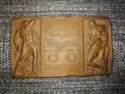 István Tisza and lajos návay memorial plaque.