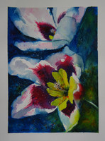 Moona - spraxis tricolor original watercolor / aquarelle