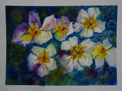 Moona - anemone original watercolor / aquarelle