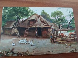 Antik képeslap, Raphael Tuck képeslap, magyar falu, majorság