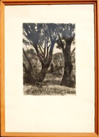 Ivan solid (1912-1988): forest detail - large etching, in original framing