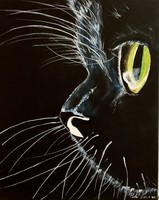 Pető csenge ++ 50x40 black cat ++ acrylic painting