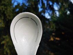 Spoon with large porcelain sauce