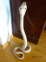 Eredeti valódi preparált kitömött  király kobra, magassága 54,5 cm. Vanneki!