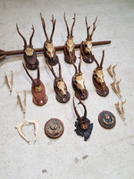 Old deer trophies, trophy.