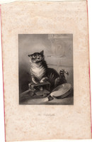 Katasztrófa, acélmetszet 1845, Payne's Universum, eredeti, 11 x 14, metszet, macska, cica, csapda