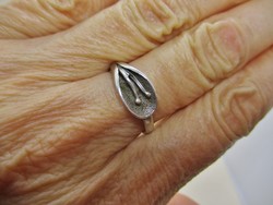 Beautiful modern craftsman with silver ring