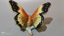 Bodrogkeresztúri pillangó lepke