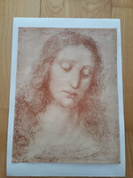 Leonardo: study head engraving