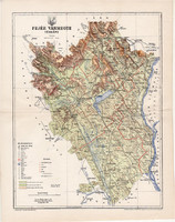Fejér vármegye térkép 1896 (1), lexikon melléklet, Gönczy Pál, 23 x 30 cm, megye, Posner Károly