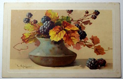 Antik Meissner & Buch festmény képeslap  gyümölcs csendélet