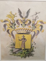 Coat of arms of the Count Pellegrini family (colored steel engraving)