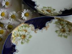 Antique rosenthal daisy pattern cake plate 6 pcs