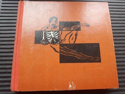 Régi orvosi rendelő dekoráció: Retro kiadású orvosi könyv amatőrök számára, 1962.