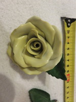 Herendi hatalmas, 7 cm-es szirmú sárga rózsa