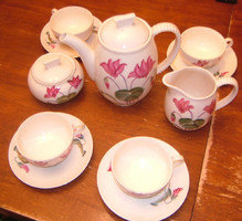 Old Czechoslovak BIHL Tea and Coffee Set Hand-Painted