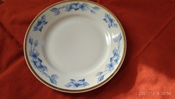 Czechoslovak porcelain large serving plate