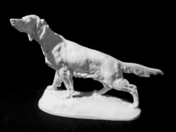 Fehér Herendi porcelán figura: 44 cm hosszú ritka kopó kutya Vastagh György aláírással