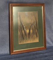 Lajos Csáky picture, pastel, frame