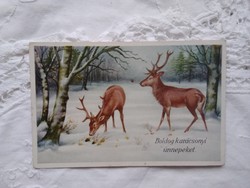 Régi grafikus karácsonyi képeslap, havas téli erdő, szarvasok 1943