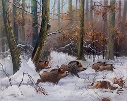 Dabronaki wild boar in the winter forest 40x50cm oil on canvas painting
