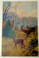 Antik festmény motívum erdő tájkép  képeslap  vadak
