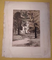 Gyula Komjáti-Vanyerka (1894-1958) - forest road - colored etching - 29 x 39.5 cm.