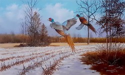 Dabronaki exploding pheasants 30x50cm oil on canvas painting