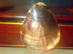 Abalone-paua peacock mussel drop pendant - large size