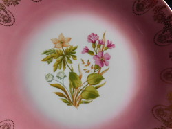MZ (Moritz Zdekauer) díszes tányér botanikai dekorral 24 cm