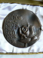 Tétény, promontor art days 1976, medal (award) in a gift box, marked 