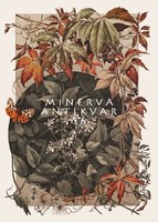 Vadszőlő levél virág termés indák kompozíció A.Seder 1896 szecessziós nyomat reprint lepke moly ősz