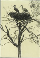 Gyula Kajári: a pair of storks 1960