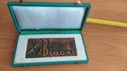 Debrecen biogal bronze plaque
