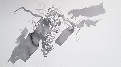 Borsos Miklós - ﻿Szőlőtőke 27 x 48 cm tus, papír