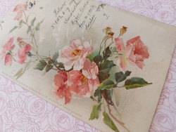 Régi képeslap 1903 levelezőlap vadrózsa motívum