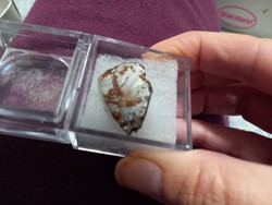Eredeti szép nagy darab Muonionalusta meteorit 3cmx 2,3 cm gyűjteménybe