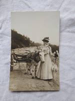 Régi fotólap/életkép, elegáns hölgy kalapban, esernyővel csacsifogattal, 1937