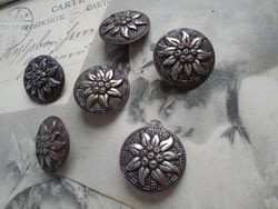 6 pcs. Alpine bee metal, marked antique button.